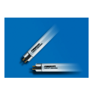 Bóng đèn huỳnh quang Paragon PFLE T5