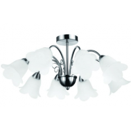 Đèn gắn trần hoa 36998 Philips